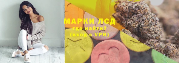 ECSTASY Алзамай
