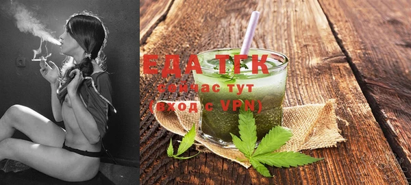 ECSTASY Алзамай