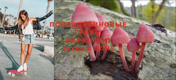 шишки Алексеевка