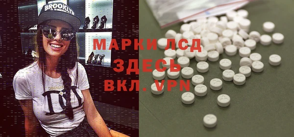 ECSTASY Алзамай