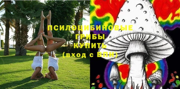 шишки Алексеевка