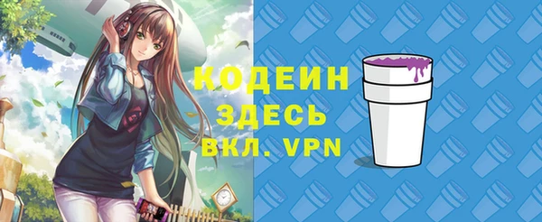 ECSTASY Алзамай