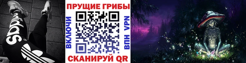 даркнет как зайти  MEGA онион  Комсомольск  Псилоцибиновые грибы мухоморы 